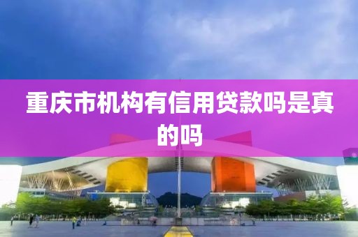 重庆市机构有信用贷款吗是真的吗