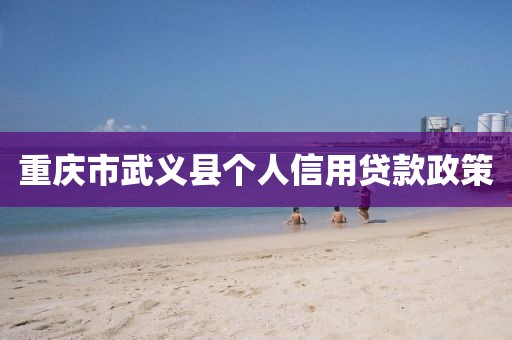 重庆市武义县个人信用贷款政策