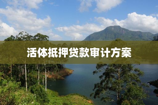 活体抵押贷款审计方案