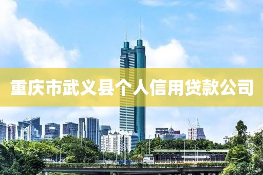 重庆市武义县个人信用贷款公司