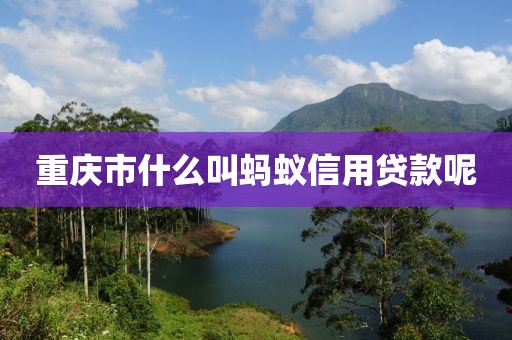 重庆市什么叫蚂蚁信用贷款呢