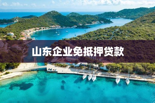 山东企业免抵押贷款