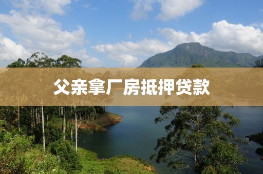 父亲拿厂房抵押贷款