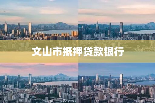 文山市抵押贷款银行