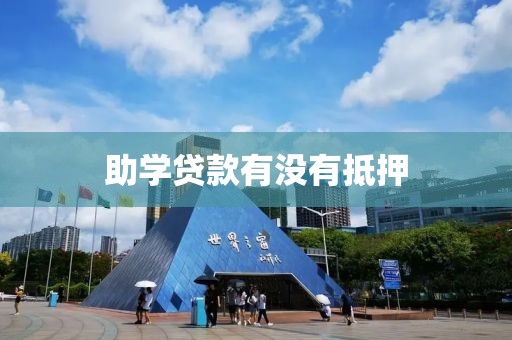 助学贷款有没有抵押