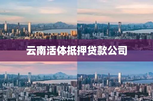 云南活体抵押贷款公司