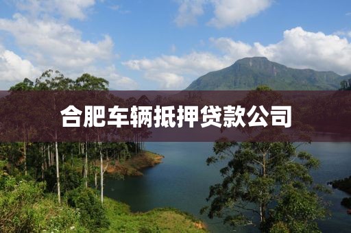 合肥车辆抵押贷款公司