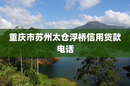 重庆市苏州太仓浮桥信用贷款电话