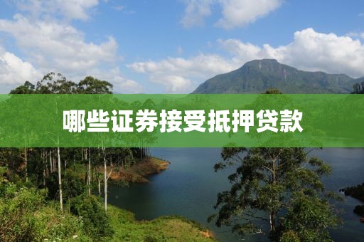 哪些证券接受抵押贷款