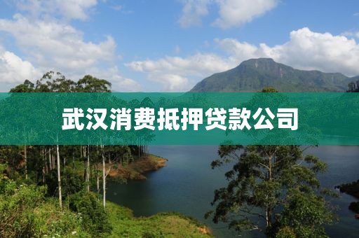 武汉消费抵押贷款公司
