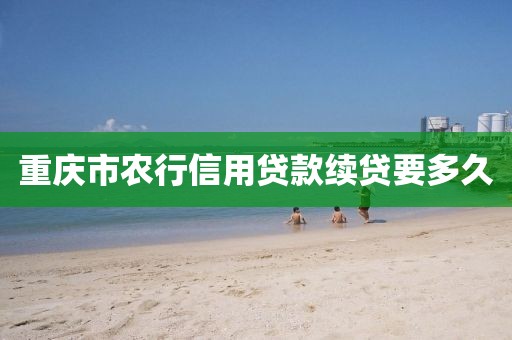 重庆市农行信用贷款续贷要多久