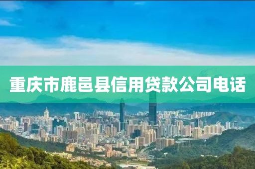 重庆市鹿邑县信用贷款公司电话