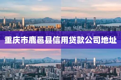 重庆市鹿邑县信用贷款公司地址