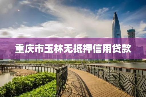 重庆市玉林无抵押信用贷款