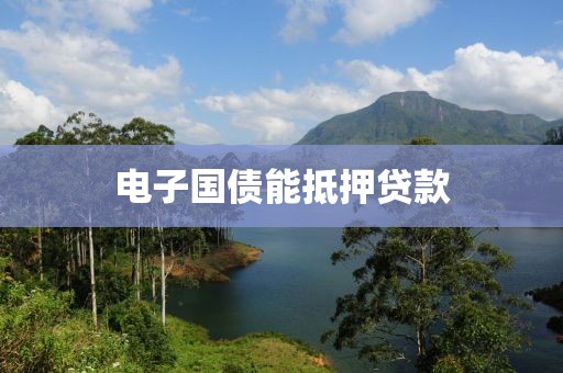 电子国债能抵押贷款