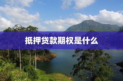 抵押贷款期权是什么
