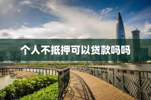 个人不抵押可以贷款吗吗