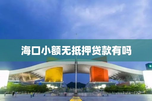 海口小额无抵押贷款有吗
