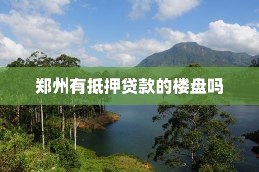 郑州有抵押贷款的楼盘吗
