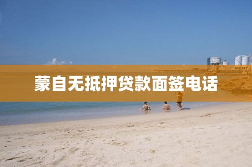 蒙自无抵押贷款面签电话