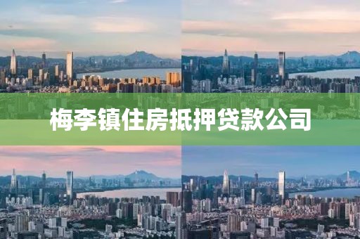 梅李镇住房抵押贷款公司