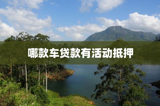 哪款车贷款有活动抵押