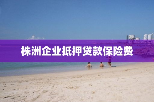株洲企业抵押贷款保险费