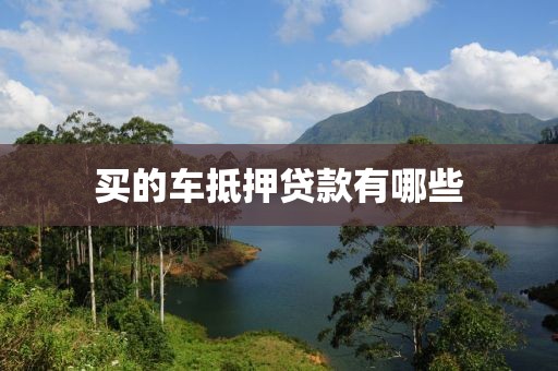 买的车抵押贷款有哪些