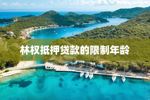 林权抵押贷款的限制年龄