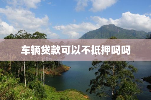 车辆贷款可以不抵押吗吗