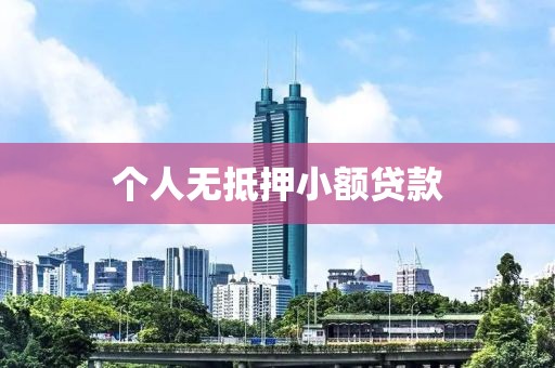 个人无抵押小额贷款