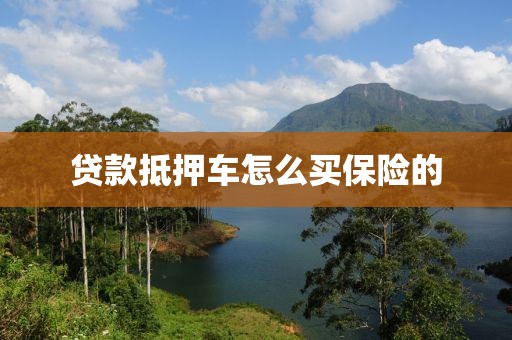 贷款抵押车怎么买保险的