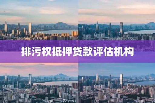 排污权抵押贷款评估机构