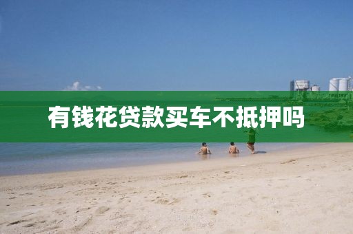 有钱花贷款买车不抵押吗