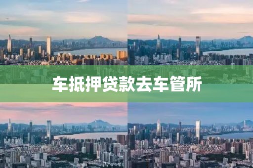 车抵押贷款去车管所