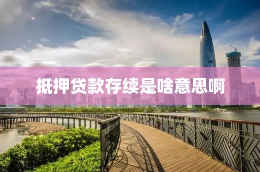 抵押贷款存续是啥意思啊