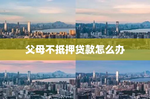 父母不抵押贷款怎么办