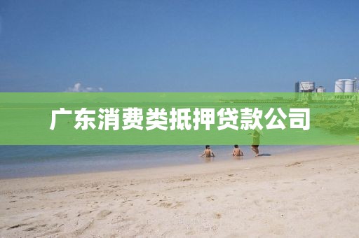 广东消费类抵押贷款公司