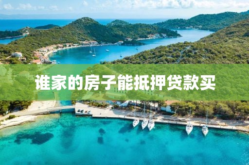 谁家的房子能抵押贷款买