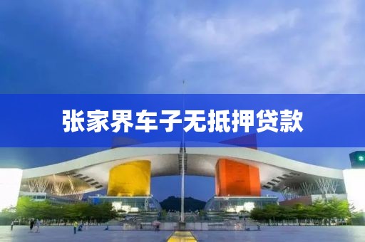 张家界车子无抵押贷款