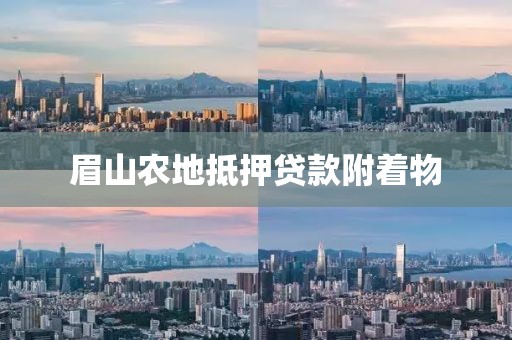 眉山农地抵押贷款附着物