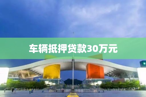 车辆抵押贷款30万元