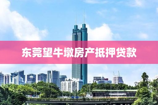 东莞望牛墩房产抵押贷款