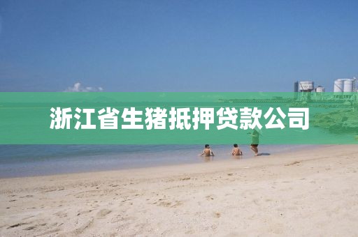 浙江省生猪抵押贷款公司