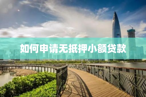 如何申请无抵押小额贷款