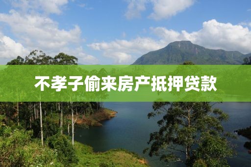 不孝子偷来房产抵押贷款