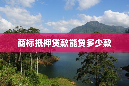 商标抵押贷款能贷多少款