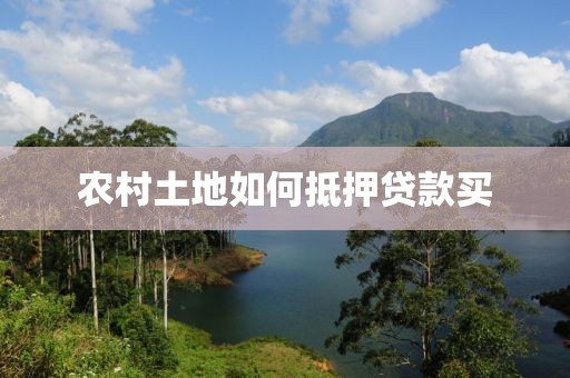 农村土地如何抵押贷款买