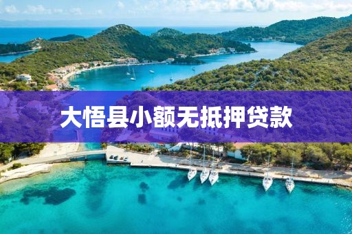 大悟县小额无抵押贷款