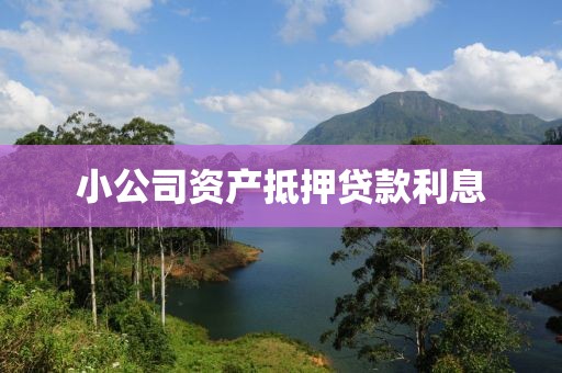 小公司资产抵押贷款利息